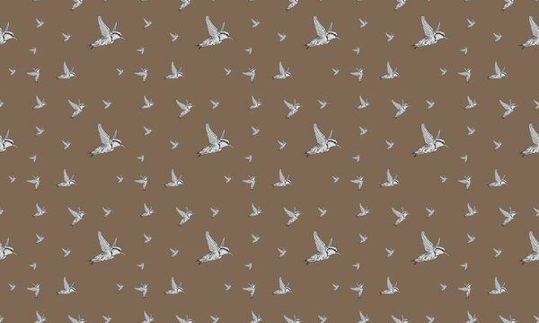 Цветной фон с различными аксессуарами