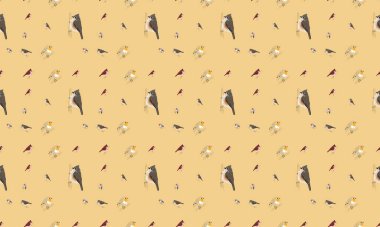 Farklı aksesuarlara sahip renkli arkaplan