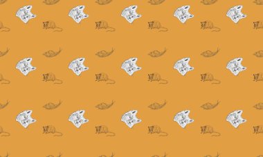 Farklı aksesuarlara sahip renkli arkaplan