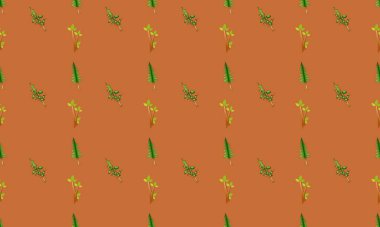 Farklı aksesuarlara sahip renkli arkaplan