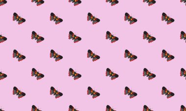 Farklı aksesuarlara sahip renkli arkaplan