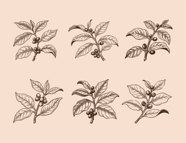 Kahve fabrikası sanat şablonu