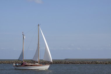 Rüzgarda süzülürken