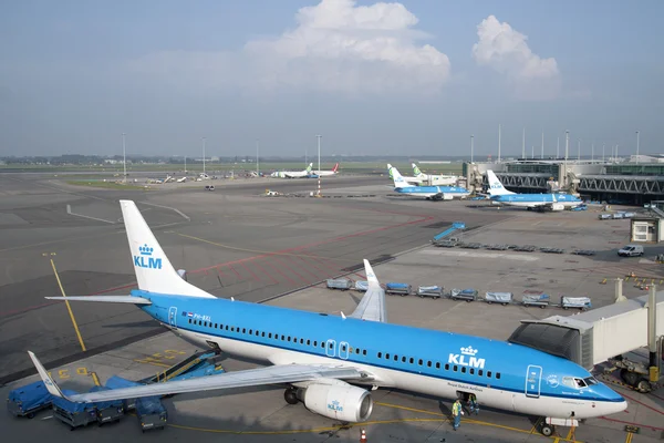 Fliegen wie ein Adler am Himmel. — Stockfoto