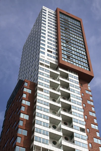 Moderní architektura v Rotterdamu — Stock fotografie