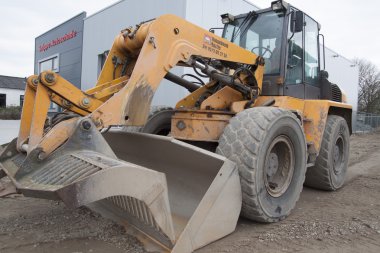 Büyük sarı kürek