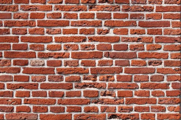 Solid strong wall — Stock Photo, Image