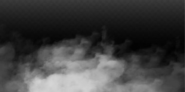 Sis ya da duman izole edilmiş şeffaf özel efekt. Beyaz vektör bulanıklığı, sis veya sis arkaplanı. Vektör illüstrasyonu