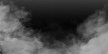 Sis ya da duman izole edilmiş şeffaf özel efekt. Beyaz vektör bulanıklığı, sis veya sis arkaplanı. Vektör illüstrasyonu