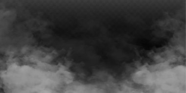 Sis ya da duman izole edilmiş şeffaf özel efekt. Beyaz vektör bulanıklığı, sis veya sis arkaplanı. Vektör illüstrasyonu