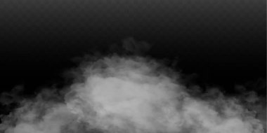 Sis ya da duman izole edilmiş şeffaf özel efekt. Beyaz vektör bulanıklığı, sis veya sis arkaplanı. Vektör illüstrasyonu