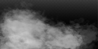 Sis ya da duman izole edilmiş şeffaf özel efekt. Beyaz vektör bulanıklığı, sis veya sis arkaplanı. Vektör illüstrasyonu