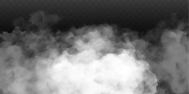 Sis ya da duman izole edilmiş şeffaf özel efekt. Beyaz vektör bulanıklığı, sis veya sis arkaplanı. Vektör illüstrasyonu