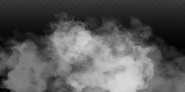 Sis ya da duman izole edilmiş şeffaf özel efekt. Beyaz vektör bulanıklığı, sis veya sis arkaplanı. Vektör illüstrasyonu