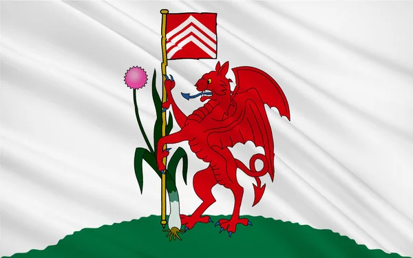 Drapeau de Cardiff est la capitale et la plus grande ville du Pays de Galles du — Photo