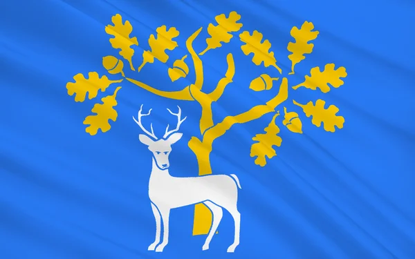 Berkshire flagga är ett län, England — Stockfoto