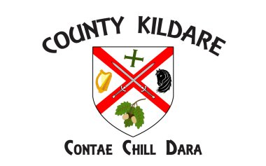 Bayrak County Kildare, İrlanda bir ilçesidir