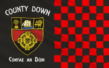 County Down Kuzey İrlanda bayrağı