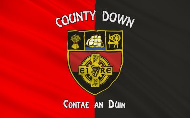 County Down Kuzey İrlanda bayrağı