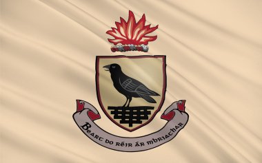 Bayrak ilçe Dublin İrlanda bir ilçesidir