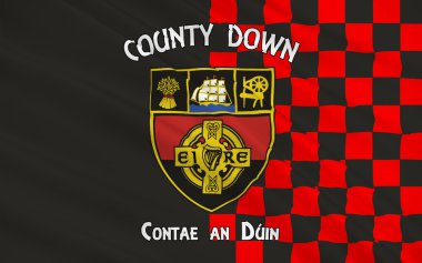 County Down Kuzey İrlanda bayrağı