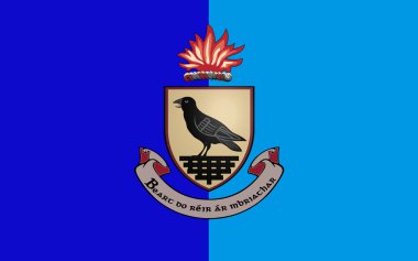 Bayrak ilçe Dublin İrlanda bir ilçesidir