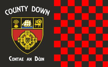 County Down Kuzey İrlanda bayrağı