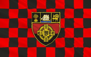 County Down Kuzey İrlanda bayrağı