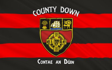 County Down Kuzey İrlanda bayrağı