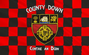 County Down Kuzey İrlanda bayrağı