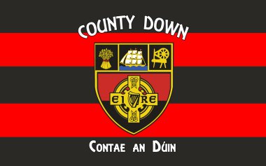 County Down Kuzey İrlanda bayrağı