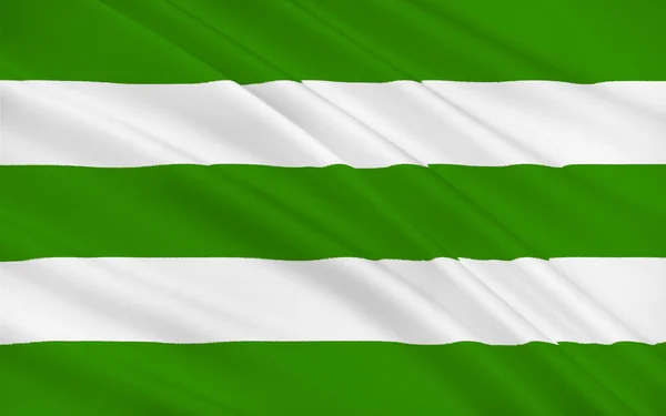 Flag of County Fermanagh in Northern Ireland — Stock Photo, Image