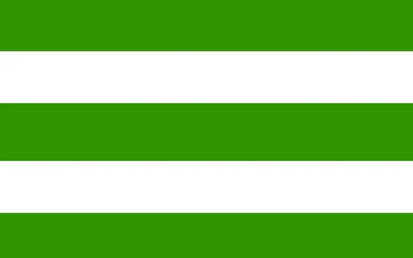 Flagge der Grafschaft Fermanagh im Norden Irlands — Stockfoto