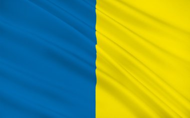 Bayrak Roscommon County, İrlanda bir ilçesidir