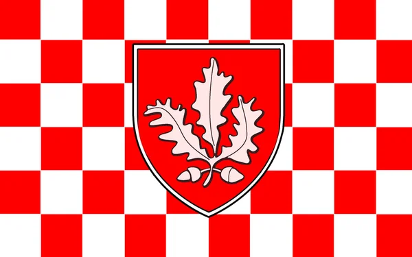 Flagge der Grafschaft londonderry in Nordirland — Stockfoto