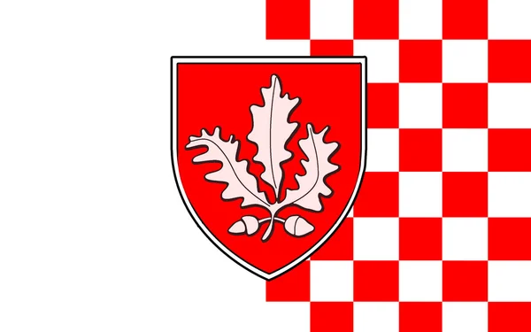 Bandeira do Condado de Londonderry na Irlanda do Norte — Fotografia de Stock