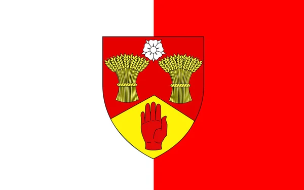 County Londonderry, Észak-Írország zászlaja — Stock Fotó