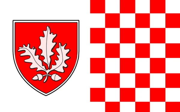 Flag of County Londonderry in Northern Ireland — Stock Photo, Image