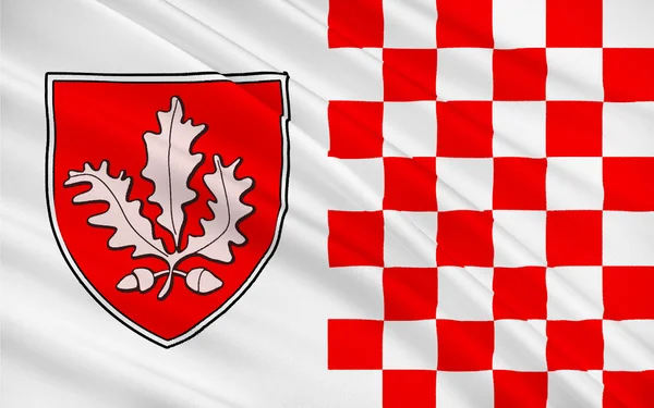 Прапор Лондондеррі у Північній Ірландії — стокове фото