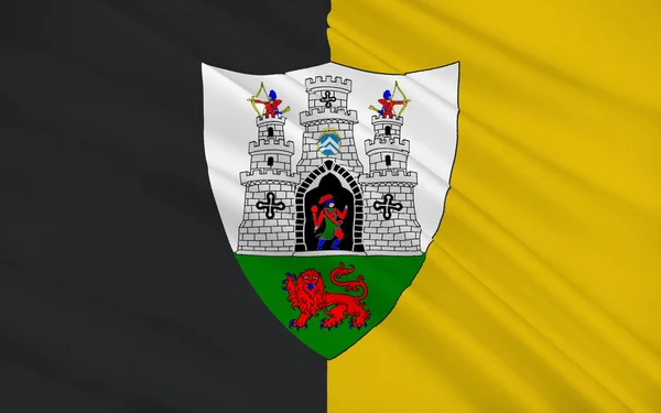 Flaga Kilkenny to miasto położone w południowo wschodniej części Irlandii — Zdjęcie stockowe