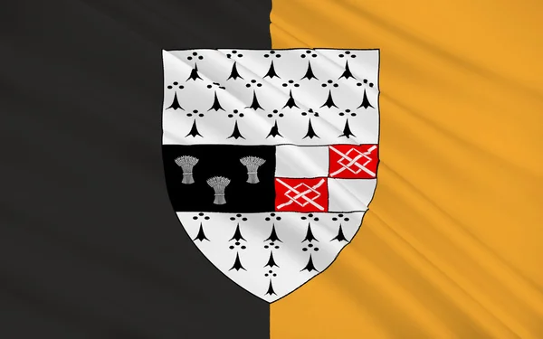 Flag kilkenny ist eine Stadt im Südosten Irlands — Stockfoto