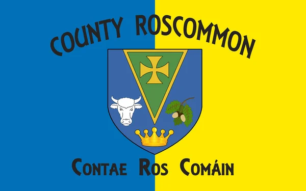 Flag of County Roscommon is a county in Ireland — Stock Photo, Image