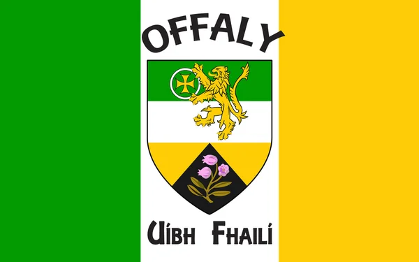 La bandiera di Flag of County Offaly è una contea dell'Irlanda — Foto Stock