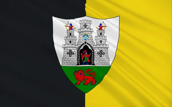 Flagga Kilkenny är en stad i sydöstra delen av Irland — Stockfoto