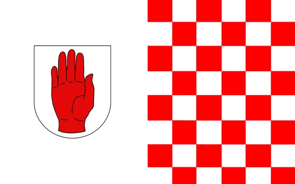 Vlag van County Tyrone is een graafschap van Ierland — Stockfoto