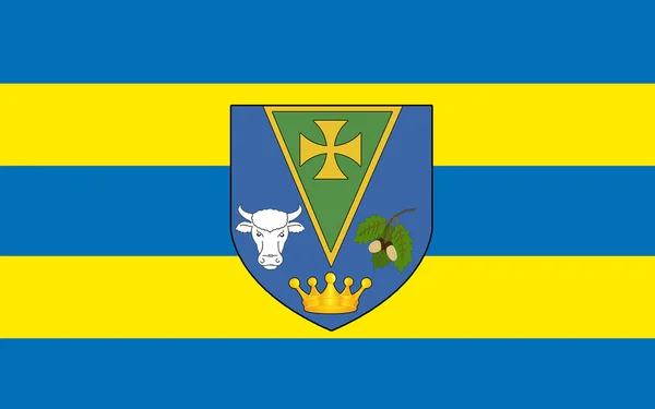 La bandiera della contea di Roscommon è una contea dell'Irlanda — Foto Stock