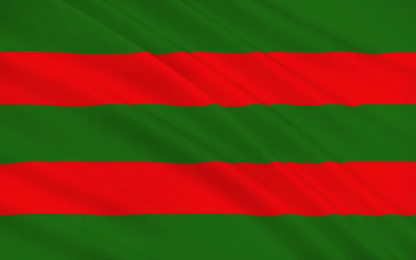 Flagge der Grafschaft Mayo ist eine Grafschaft in Irland — Stockfoto