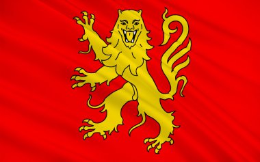 Aveyron Bayrağı, Fransa