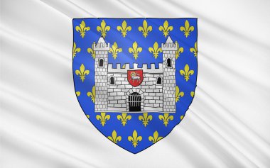 Carcassonne Bayrağı, Fransa