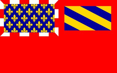 Dijon bayrağı Fransa'nın doğusunda bir şehirdir.